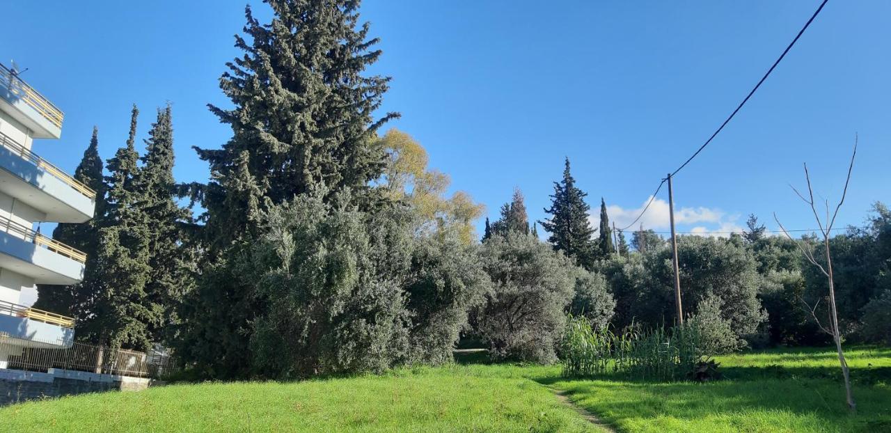 Όμορφο Studio Στην Πόλη Πάτρα 外观 照片